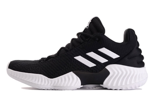 Мужские кроссовки adidas Performance Pro Bounce 2018 Low
